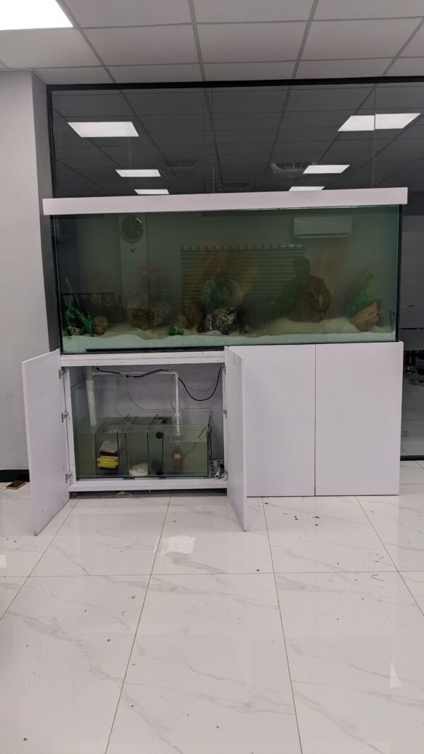 7 ft Large Aquarium in 19mm glass,(iron angle stand on Lasani deco finish) - Image 4
