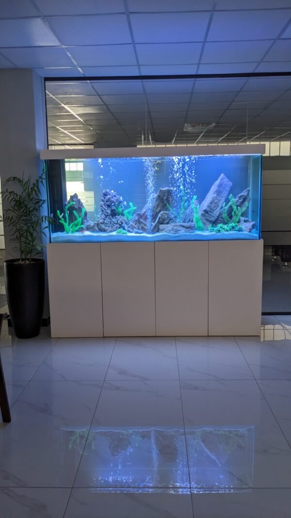 7 ft Large Aquarium in 19mm glass,(iron angle stand on Lasani deco finish) - Image 3