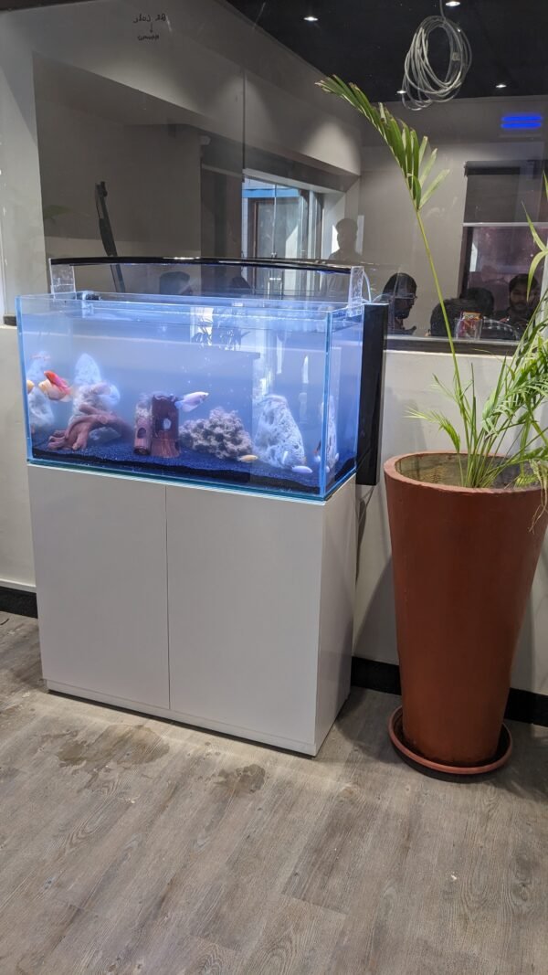 36inches Aquarium with deco paint cabinet (12mm crystal clear glass) - Image 3
