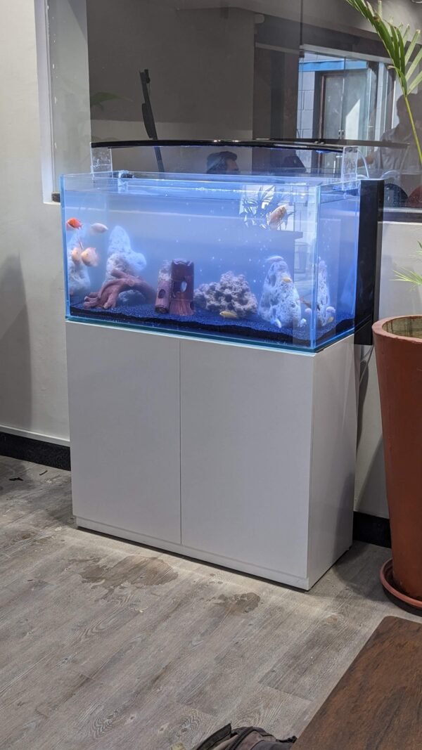 36inches Aquarium with deco paint cabinet (12mm crystal clear glass) - Image 4