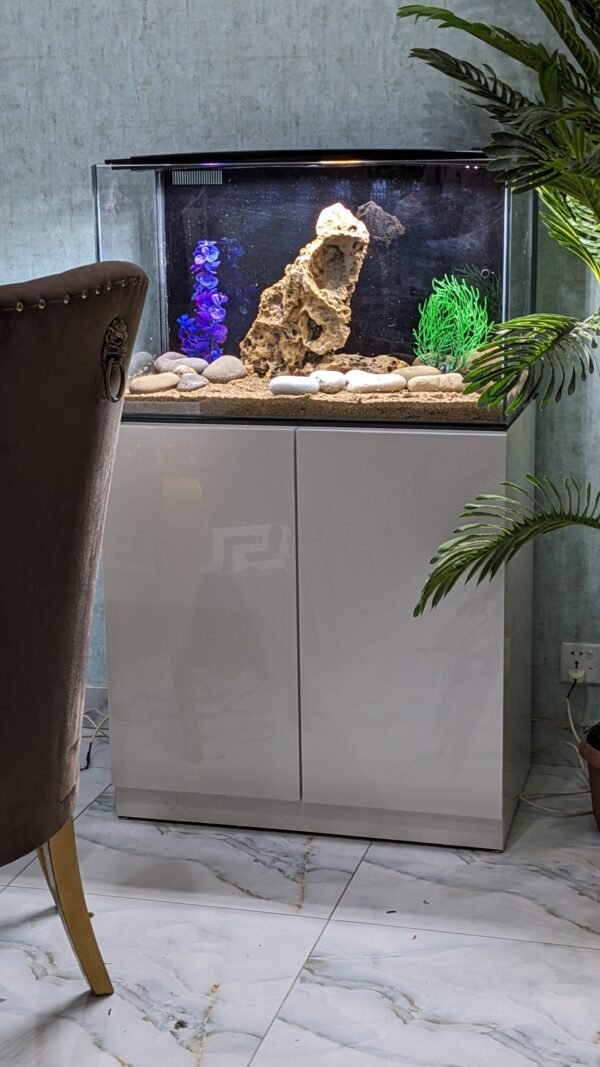 30 inches Aquarium with back sump filter - Image 2