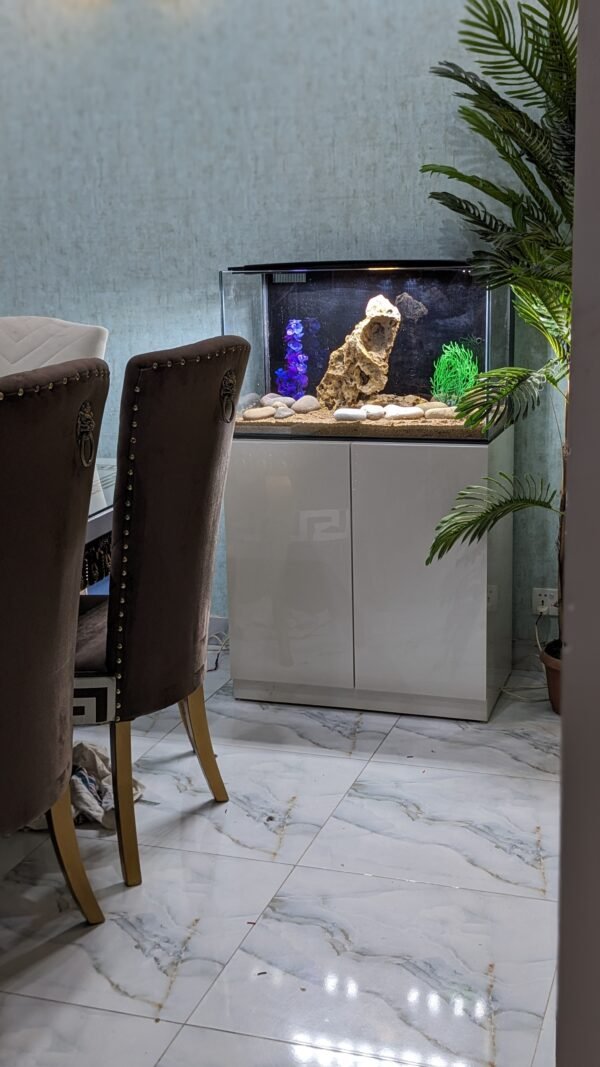 30 inches Aquarium with back sump filter - Image 3