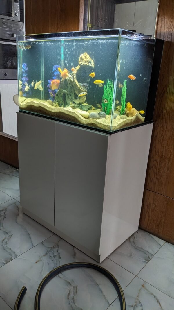 30 inches Aquarium with back sump filter