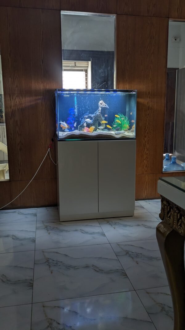 30 inches Aquarium with back sump filter - Image 4